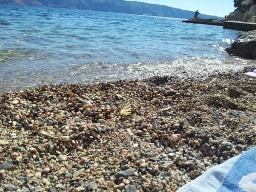 セニ クロアチア ホテルプレミアムプロモーションコード Senj booking.com