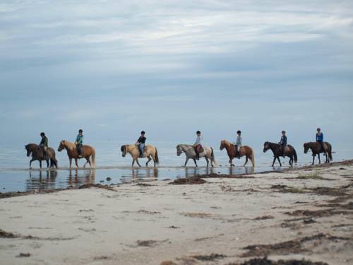 Læsø Danemark code promo premium de l'hôtel booking.com